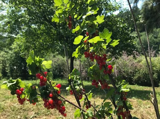 Apartment Tinymoon Feldbach (Styria)